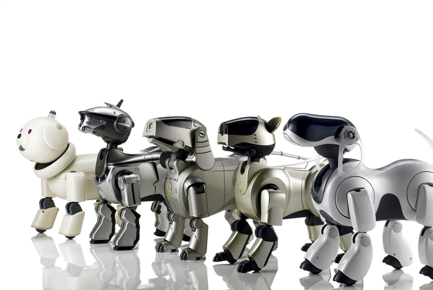 chien robot sony