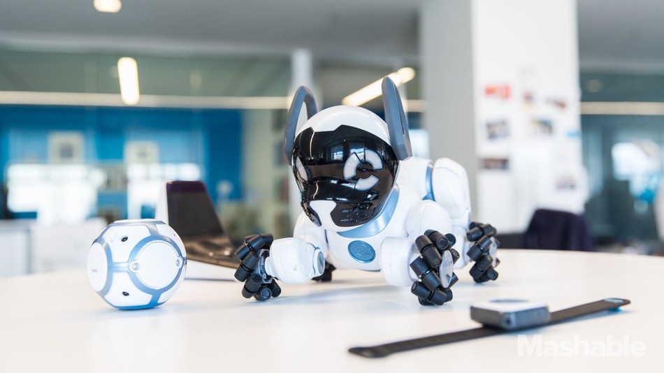 robot chien intelligent