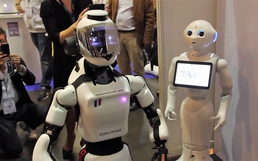 Série Japonaise Moitié Homme Moitié Robot Leenby, robot humanoïde français: majordome du futur