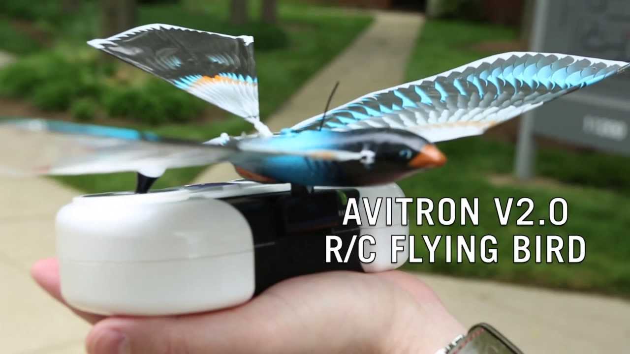 Robot oiseau Avitron et Bionic Bird Robots jouets