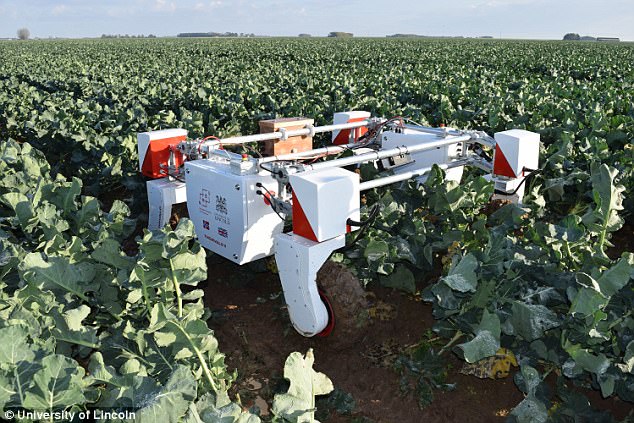 sagtmodighed transaktion glemsom The robot Thorvald will help farmers in Great Britain