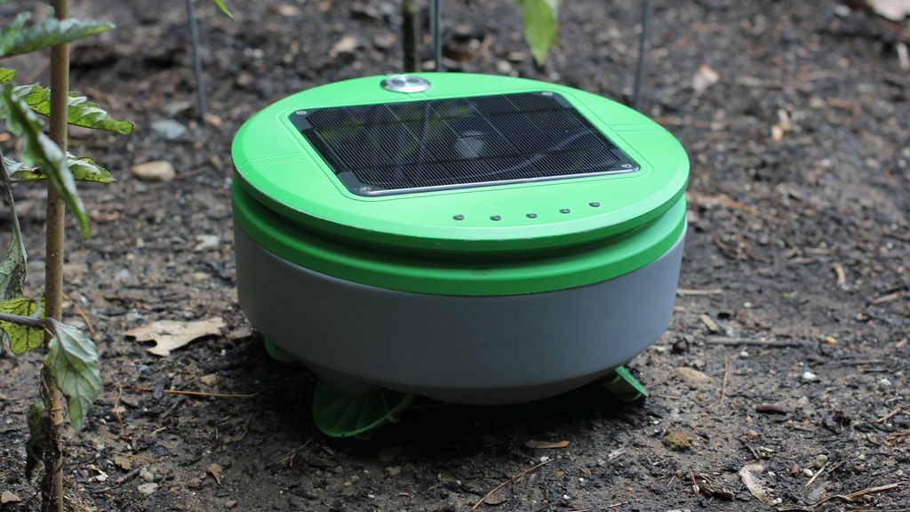 robot tertill dans le jardin