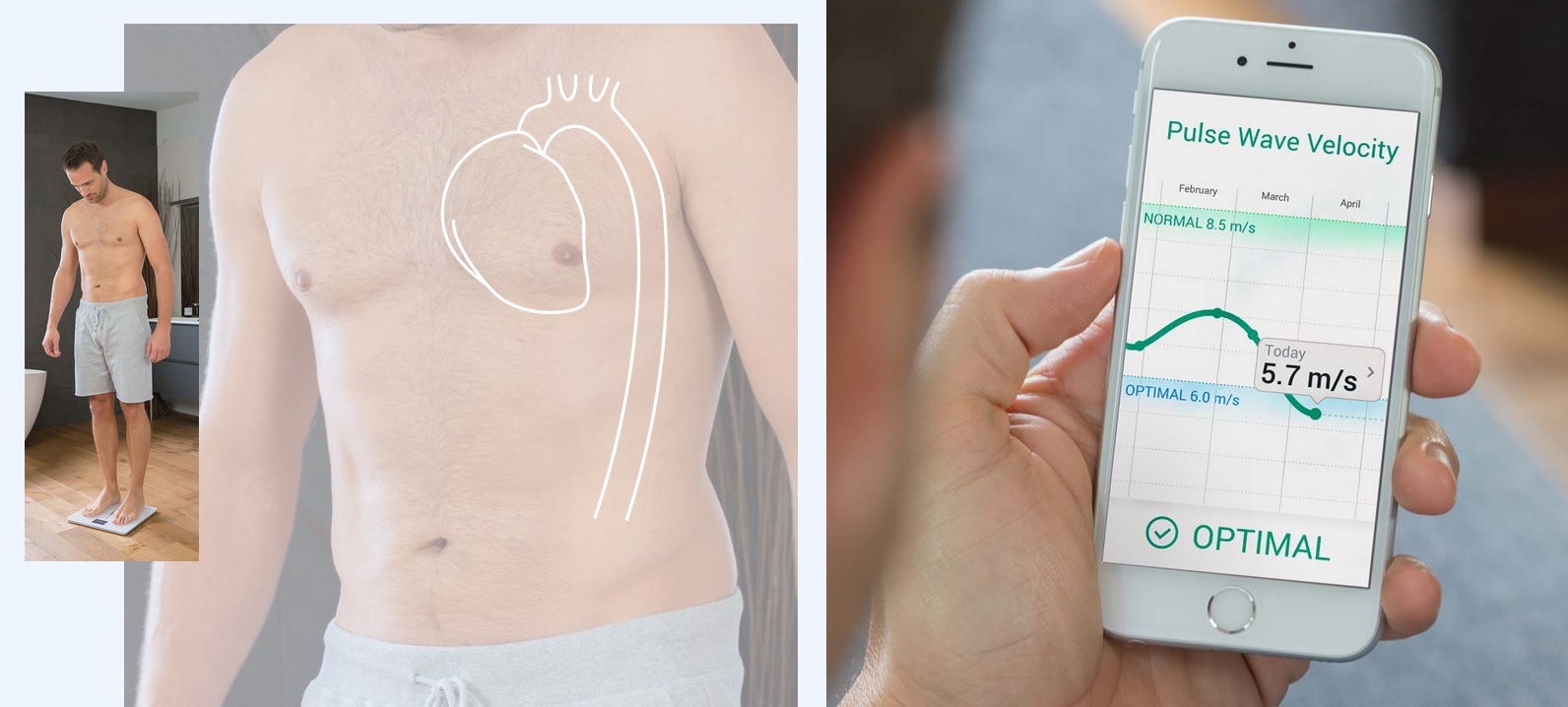 Withings body cardio application mobile