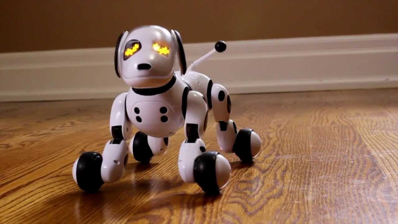 jouet chien robot zoomer